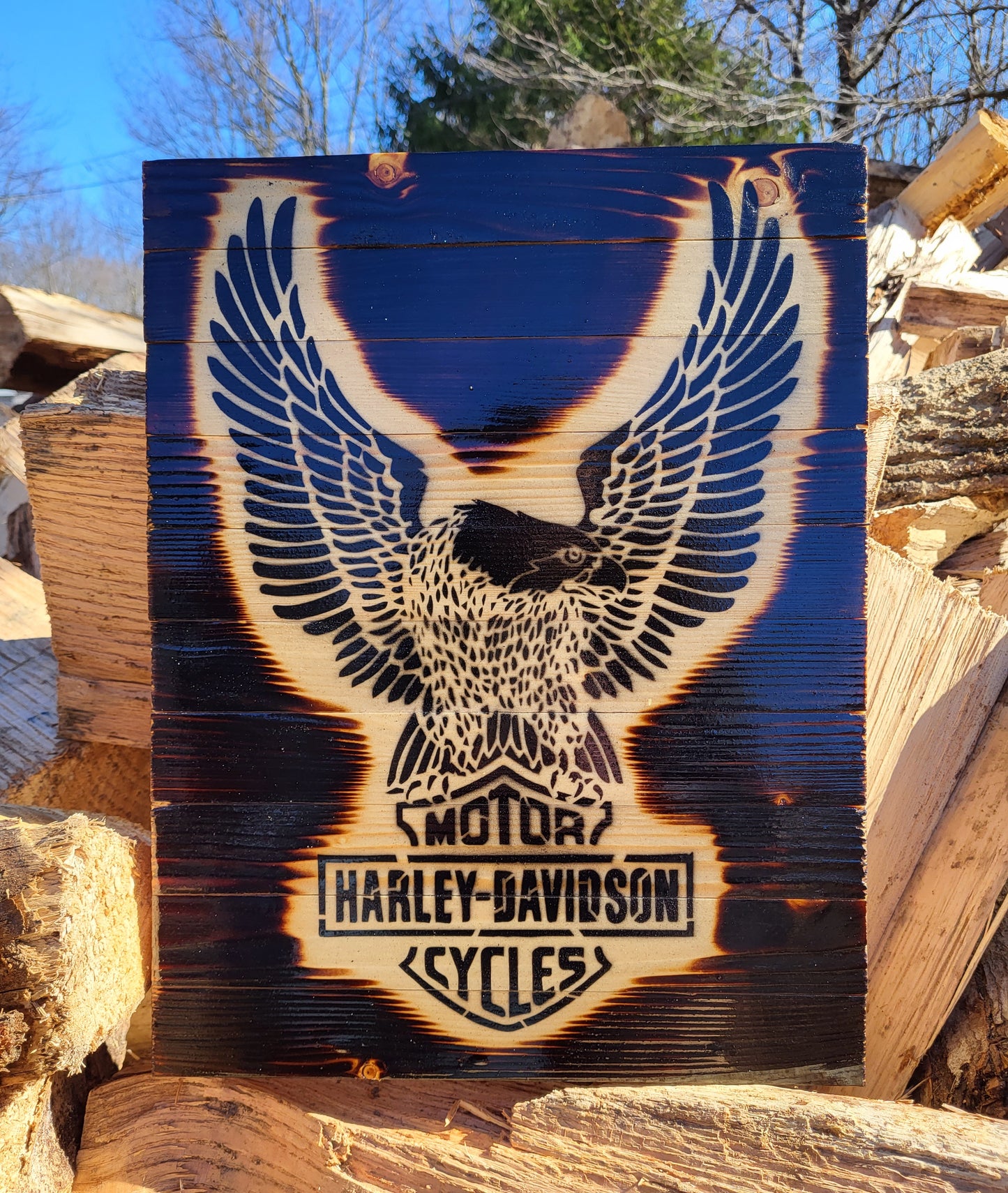 Harley Davidson- Wood Plaque